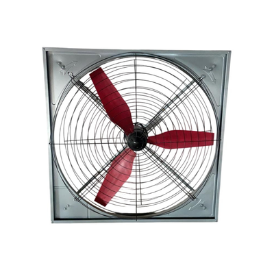 54 inch Dairy Farm Fan